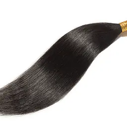 Plain Weave - Master